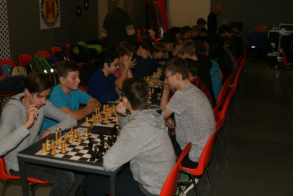 哈夫利奇科瓦布罗德的小学认识国际象棋冠军